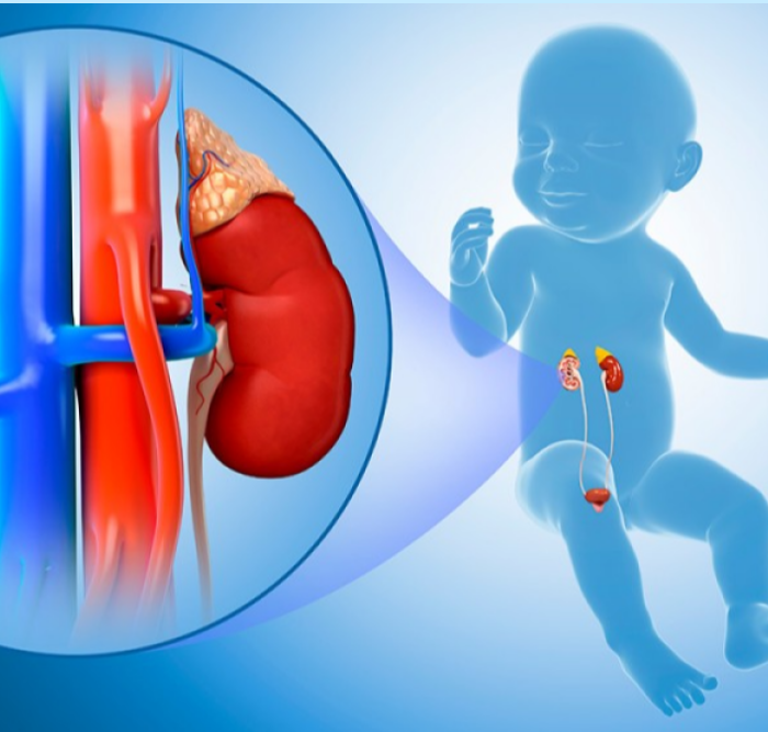 Pediatric Urology