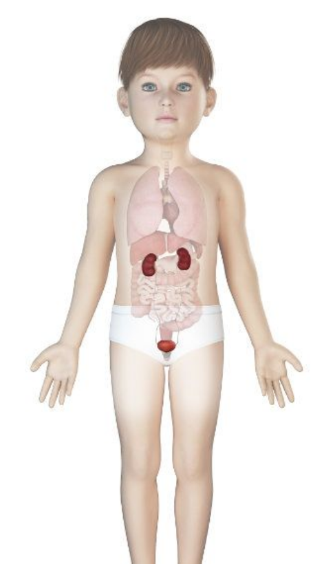 Pediatric Urology Treatment