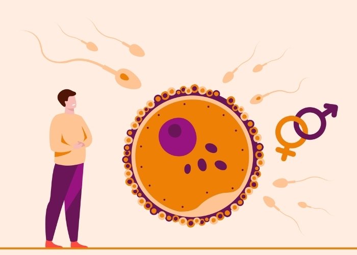 Male Infertility Treatment