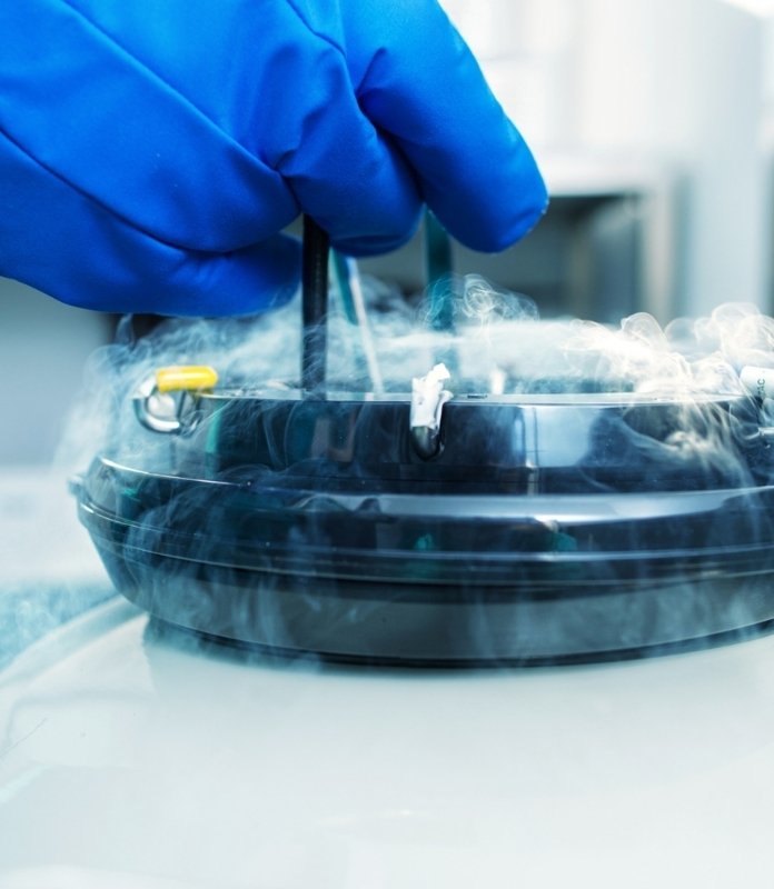 Fertility Preservation for Cancer Patients